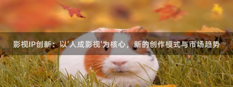 奇领yy6080影视影院