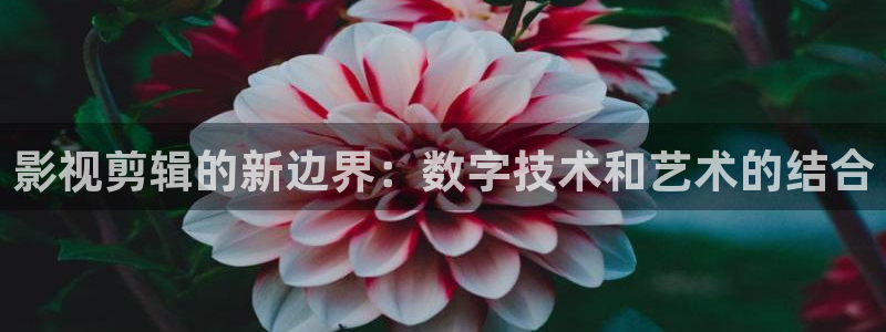 黑狐影院皮特6080