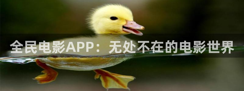 6080yy电影在线视频看看