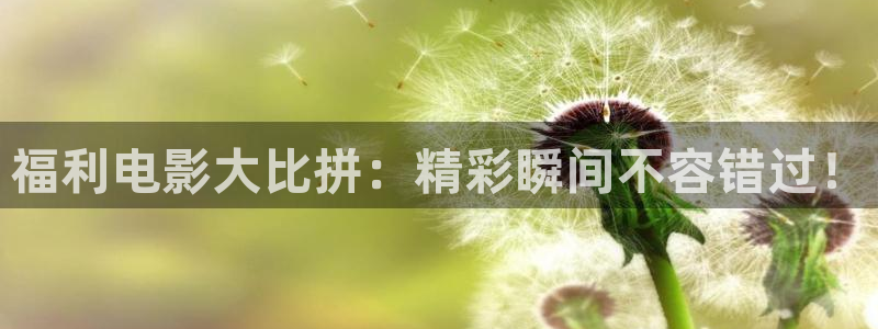 yy6080青苹果影院手机